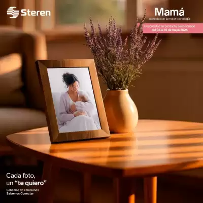 Steren (válido hasta 15-05)