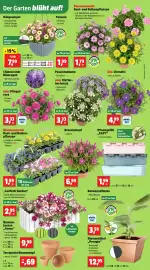 Thomas Philipps Prospekt woche 20 Seite 2