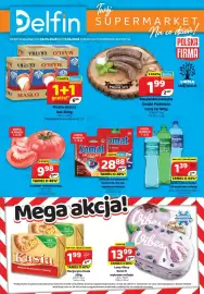 Delfin gazetka Strona 1