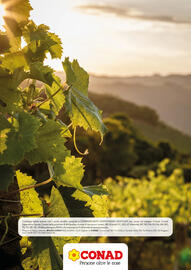 Volantino Conad | vino Pagina 28