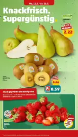 PENNY Prospekt woche 20 Seite 2
