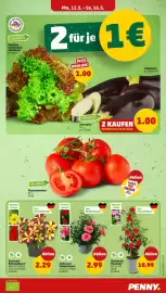 PENNY Prospekt woche 20 Seite 3