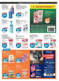 V Markt Prospekt woche 20 Seite 13