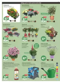 V Markt Prospekt woche 20 Seite 16