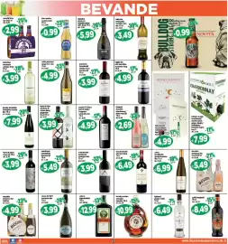 Volantino Il Castoro Supermercati Pagina 17