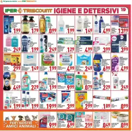 Volantino Iper Triscount Pagina 19