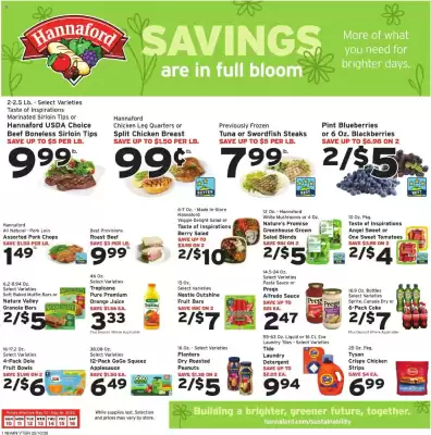 Hannaford (valid until 16-05)