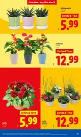 Lidl weekly ad week 20 Page 29