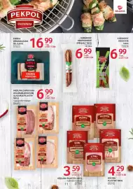 Selgros gazetka Strona 11