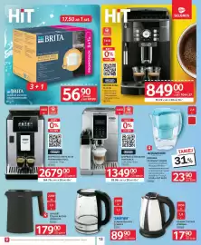 Selgros gazetka Strona 15