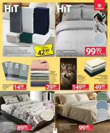 Selgros gazetka Strona 22