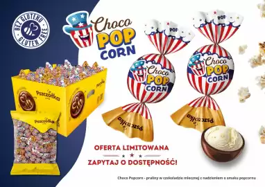 Pszczółka gazetka Strona 17