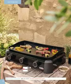 Catálogo Jardiland Página 74