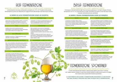 Volantino Scelgo Pagina 3
