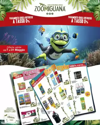 Zoomiguana (valido fino al 31-05)