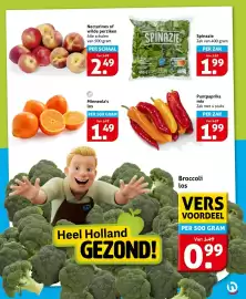 Hoogvliet folder week 20 Pagina 3