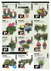 V Baumarkt Prospekt woche 20 Seite 2