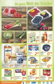 Inkoop Prospekt woche 20 Seite 2