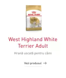 Catalog Royal Canin Pagină 1