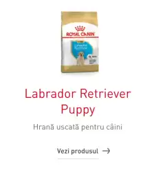 Catalog Royal Canin Pagină 5