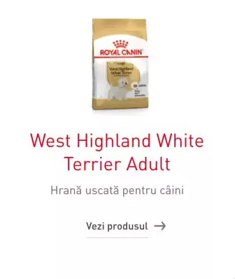 Royal Canin (valid până la 3-06)