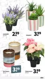 Wibra folder Pagina 8