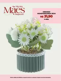 Magazine Magazan Página 6