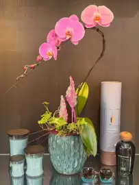 Volantino Florarici Pagina 1