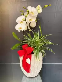 Volantino Florarici Pagina 10