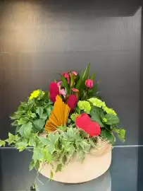 Volantino Florarici Pagina 13