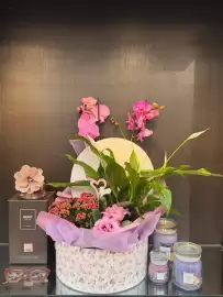 Volantino Florarici Pagina 2