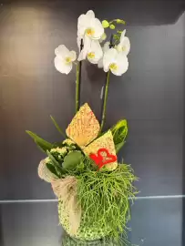 Volantino Florarici Pagina 7