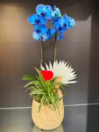 Volantino Florarici Pagina 8