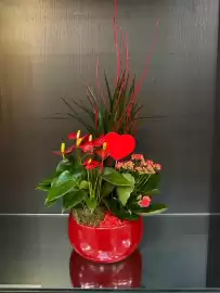 Volantino Florarici Pagina 9
