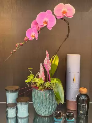 Florarici (valido fino al 23-05)