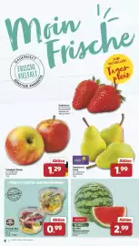 Famila Nord West Prospekt woche 20 Seite 4