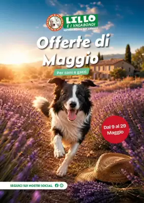 Lillo e i Vagabondi (valido fino al 29-05)
