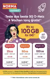 Norma Prospekt woche 21 Seite 19