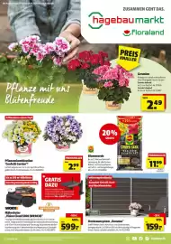 Hagebau Prospekt woche 19 Seite 1