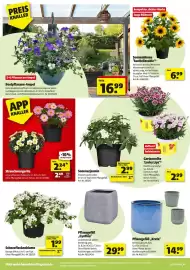 Hagebau Prospekt woche 19 Seite 2