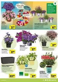 Hagebau Prospekt woche 19 Seite 3