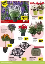 Hagebau Prospekt woche 19 Seite 4