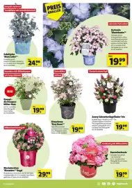 Hagebau Prospekt woche 19 Seite 7