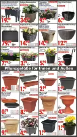 Wreesmann Prospekt Seite 11