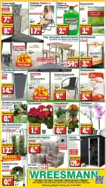 Wreesmann Prospekt Seite 20