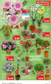Kaufland Prospekt woche 20 Seite 5