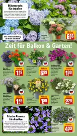 REWE Prospekt woche 20 Seite 6