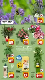 REWE Prospekt woche 20 Seite 7