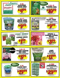 Ollie's weekly ad week 19 Page 4