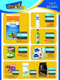 Folleto Carrefour Maxi semana 19 Página 10